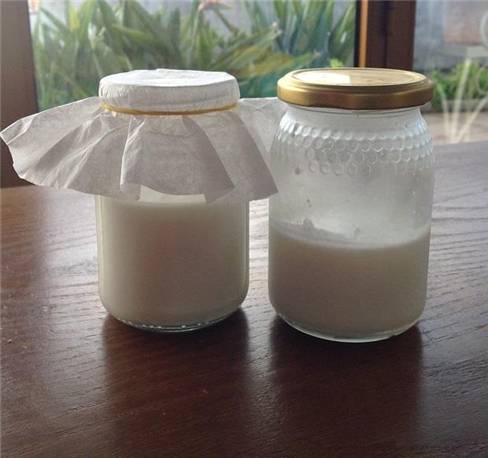 kefir yapımı