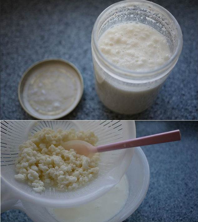 kefir