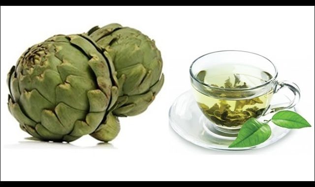 enginarin faydalari enginarin faydalari