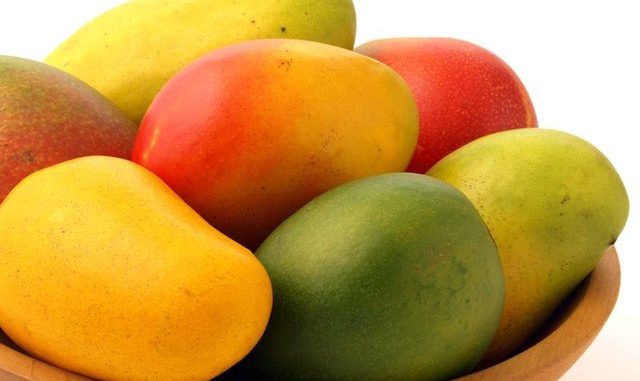 mangonun faydalari