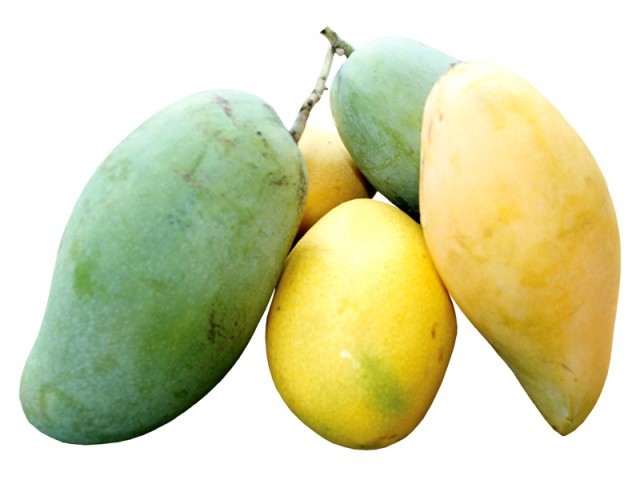 mangonun faydalari