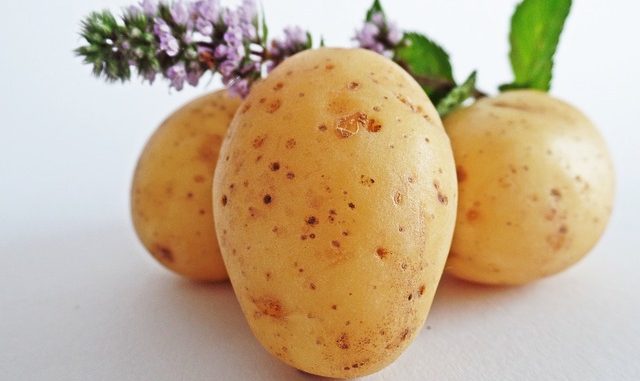 patatesin faydalari
