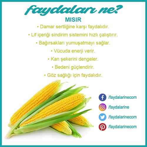 mısırın faydaları nelerdir