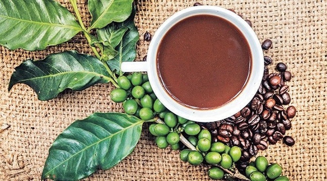 yeşil kahvenin faydaları